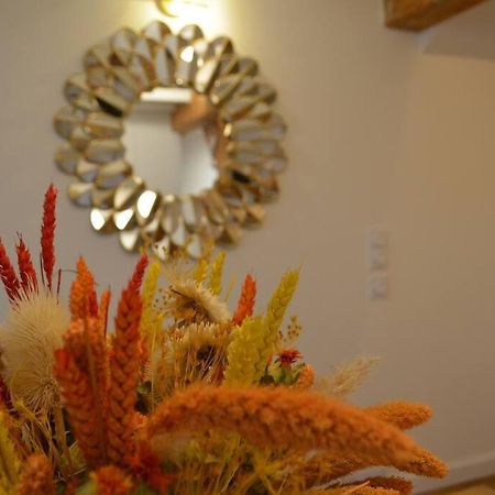Charmant Appartement - Proche Chateau Cite Каркассон Экстерьер фото