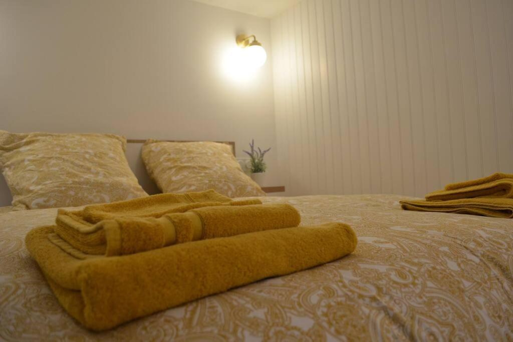 Charmant Appartement - Proche Chateau Cite Каркассон Экстерьер фото