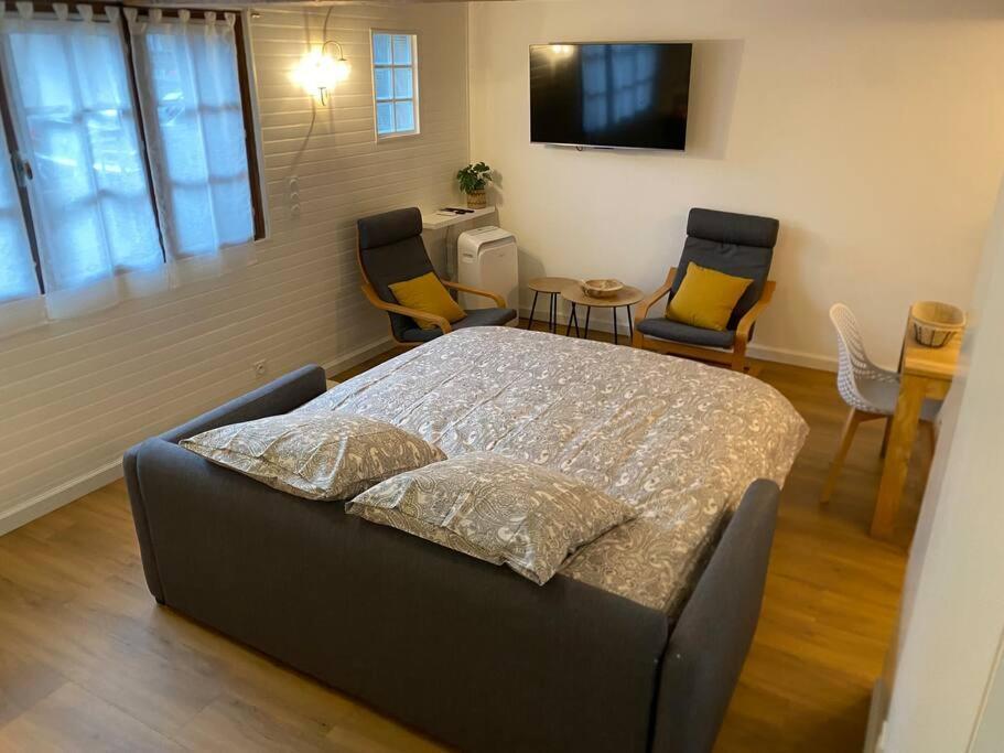 Charmant Appartement - Proche Chateau Cite Каркассон Экстерьер фото